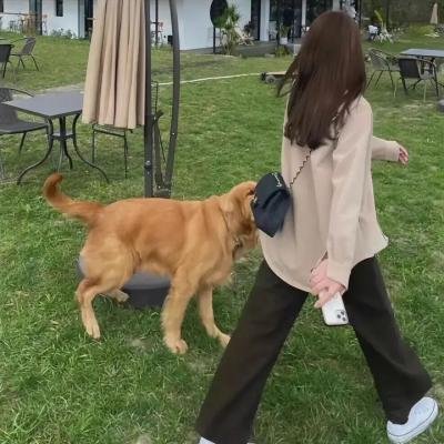 变形计第十二季